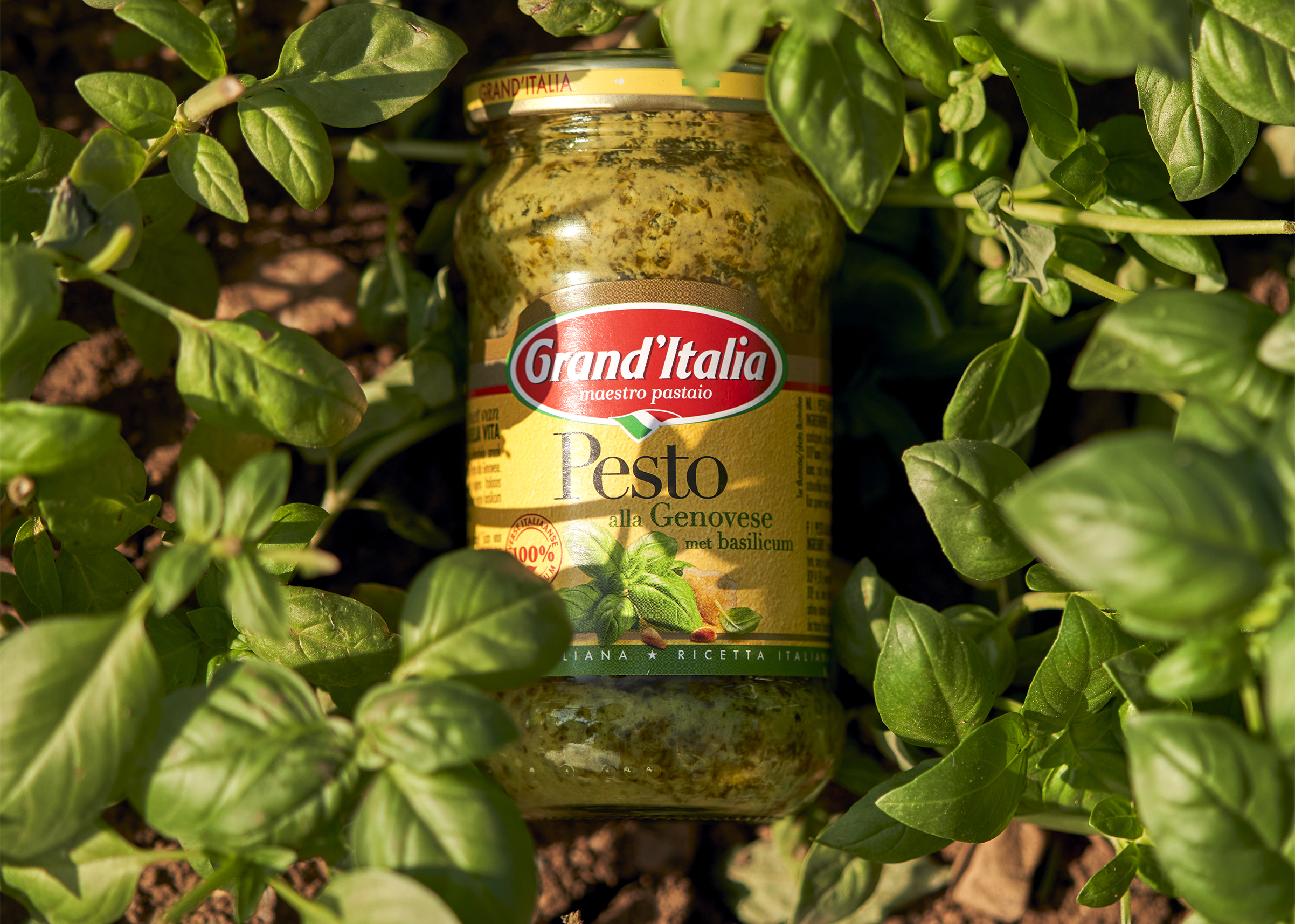 Producten pesto Grand'Italia